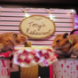 These tiny hamsters on a tiny date just put all your Valentine's plans to shame