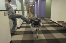 Watching Google's new robot dog get kicked is oddly unsettling