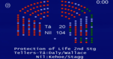 'A shameful abandonment': Just one Labour TD defies party as Clare Daly's abortion bill voted down