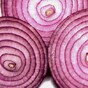 Farmers claim to have grown onions that don't make you cry