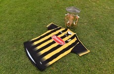 Kilkenny's jersey for the 2015 season features one prominent new feature