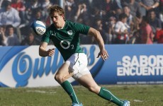 One of the stars of Ireland's Six Nations win last year won't play rugby again this season