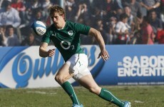One of the stars of Ireland's Six Nations win last year won't play rugby again this season