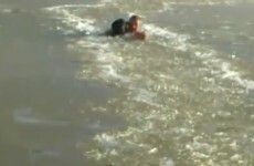 Most determined guy ever wades through frozen river to rescue his dog