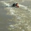 Most determined guy ever wades through frozen river to rescue his dog