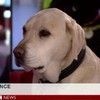 This BBC News caption is both simple and brilliant
