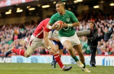 One French journalist had a very French description of Zebo's role in the Ireland team