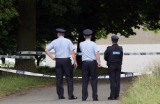 Gardaí renew appeal for information on 2009 Phoenix Park death