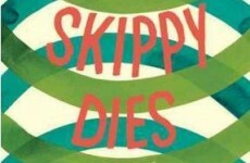 David Cameron chooses Irish novel Skippy Dies as his summer read