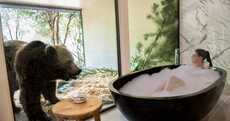 A new hotel in Australia lets you dine with lions and take a bath next to bears