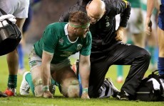 Fractures to three vertebrae mean Jamie Heaslip is out of the England game