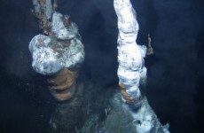 Irish scientists discover new life beneath the sea