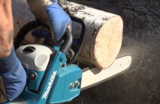 Australian judge rules that 'gaping' chainsaw wound is no excuse for drink-driving