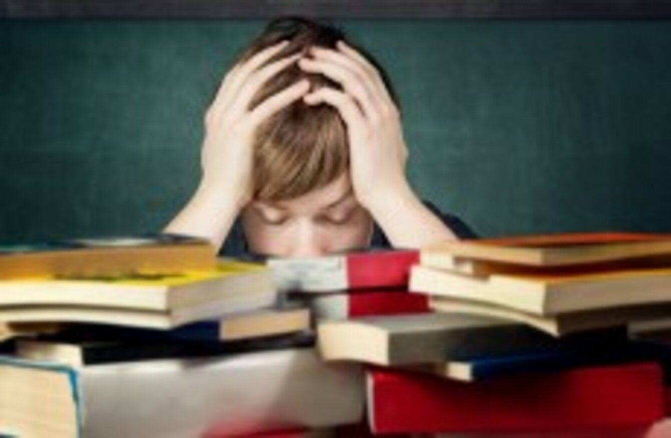 Homework policy ireland 08 picture