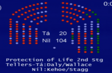 Can fatal foetal abnormalities be legislated for? Politicians want to take ANOTHER look...