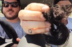 These guys are going around cutting off man buns straight from hipsters' heads
