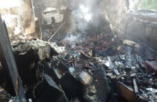 Family dog killed after Nutella jar sparks house fire