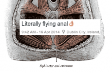 'Anal' is the worst Irish misspelling ever, and so many people are doing it