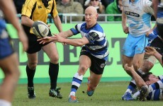 Great news! Peter Stringer says he has no intention of calling it a day at the end of the year