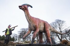 Today’s top stories in 6 seconds