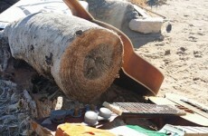 U2's Joshua tree has been vandalised