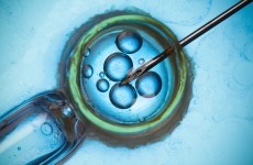 Treatment suspended for hundreds of IVF couples over new laws