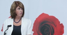 Why Joan Burton has a year to save Labour from an election bloodbath