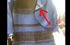 14 of the funniest reactions to The Dress