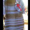 14 of the funniest reactions to The Dress