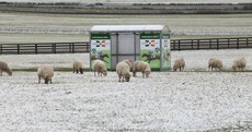 Wrap up and be careful: It's snowy and icy out there