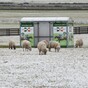 Wrap up and be careful: It's snowy and icy out there