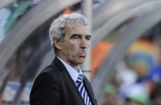 Ex-France coach Raymond Domenech says he's 'dreamed' of managing Ireland