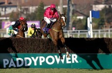 Paddy Power has been taking in record bets - but how many are winners?