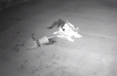 Video: Woman falls TWICE as she tries to steal potted plant from front garden