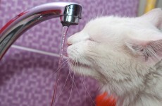 Those reduced water charges the government promised have been approved