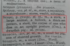 7 Irish words that don't exist in English