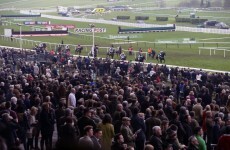 Can you tell the real Cheltenham horse from the ones we've just made up?