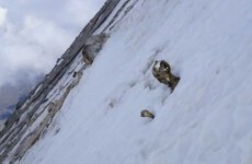 Mummified bodies found on Mexico's highest peak