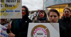Sinn Féin votes for abortion to be allowed in cases of fatal foetal abnormalities