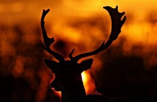 Today’s top stories in 6 seconds