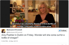 8 of the best offers Amy Poehler's going to get in Dublin