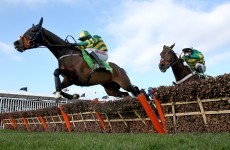 Poll: Who do you think will win today's Champion Hurdle at Cheltenham?
