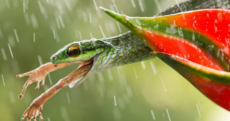 10 stunning photos that show you parts of nature like you've never seen them