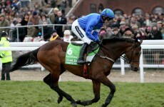 The42's Winning Post: Everything you need to enjoy day one of Cheltenham — and pick a winner