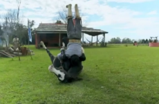 Oh, nothing to see here... just a man doing yoga with his horse