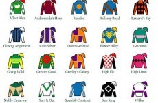 5 horse selection tips all Cheltenham chancers will understand