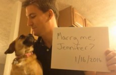 8 people who were actually sickened by that year-long proposal video