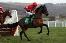 Poll: Who do you think will win today’s World Hurdle at Cheltenham?