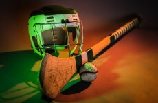 "You are only concerned when the hurley shortage happens': GAA urged to fight forest fungus