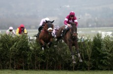 Unlucky photographer gets VERY close to the action at Cheltenham